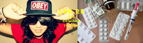 ПСИЛОЦИБИНОВЫЕ ГРИБЫ Балахна